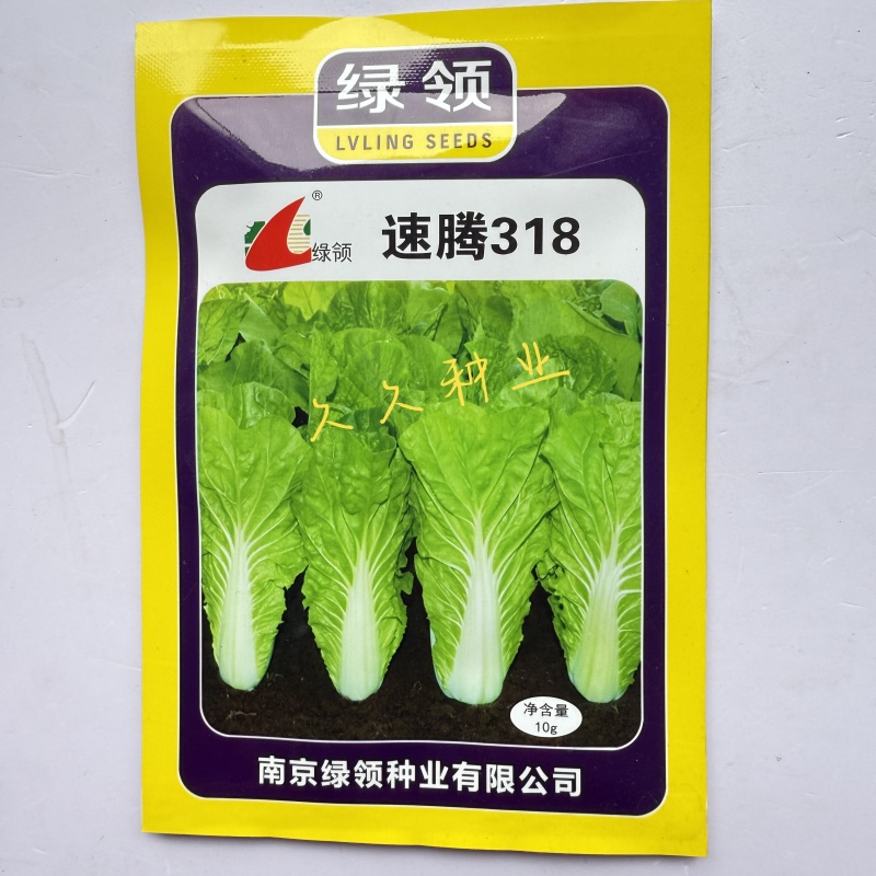 绿领速腾236快菜种子速生小白菜南北方春夏秋阳台盆栽