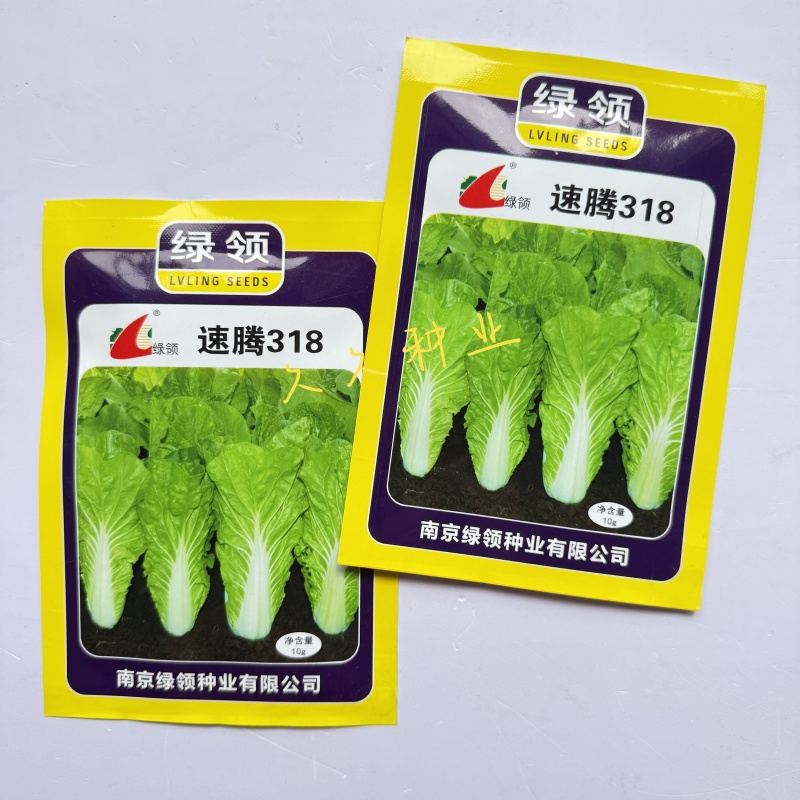 绿领速腾236快菜种子速生小白菜南北方春夏秋阳台盆栽