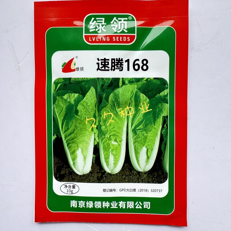 绿领速腾168快菜种子毛白菜小白菜种子耐热耐湿杭白菜种子
