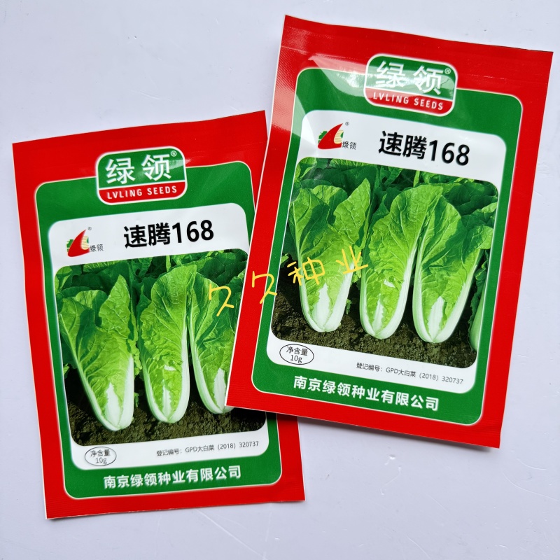 绿领速腾168快菜种子毛白菜小白菜种子耐热耐湿杭白菜种子