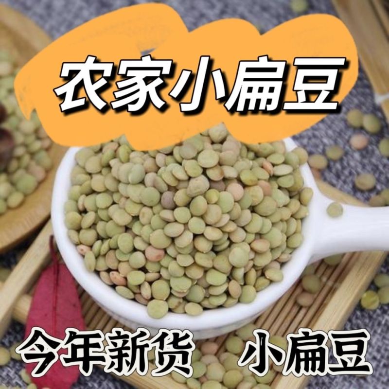 甘肃小扁豆凉粉凉皮扁豆面扁豆芽原料绿扁豆小扁豆