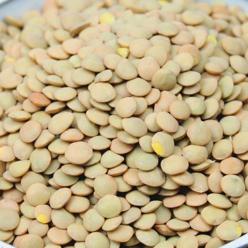 甘肃小扁豆凉粉凉皮扁豆面扁豆芽原料绿扁豆小扁豆