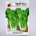绿领速腾165快菜种子速生结球小白菜种籽无毛白帮耐热耐湿