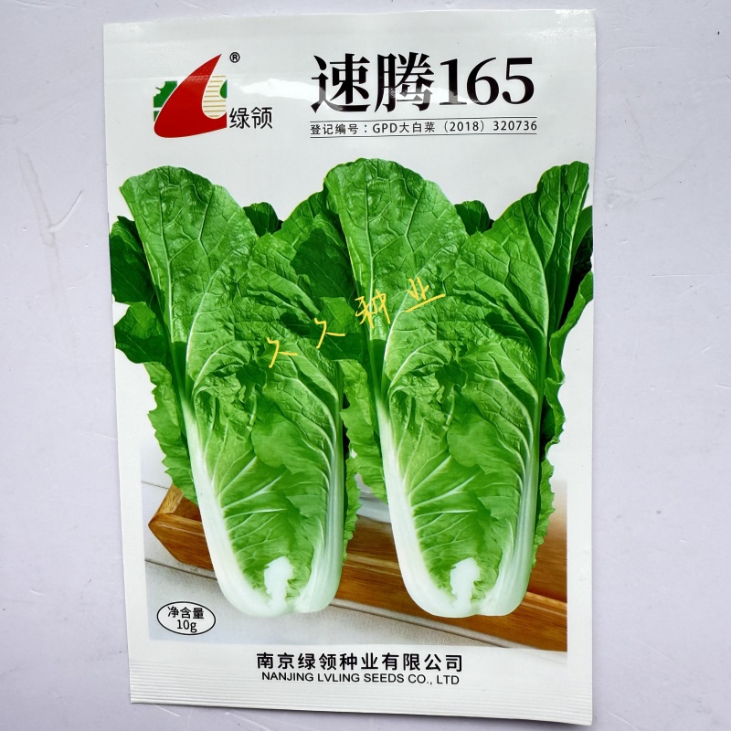 绿领速腾165快菜种子速生结球小白菜种籽无毛白帮耐热耐湿