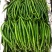 苏润999线椒种子早熟长线椒种籽中辣绿色长果条椒种子
