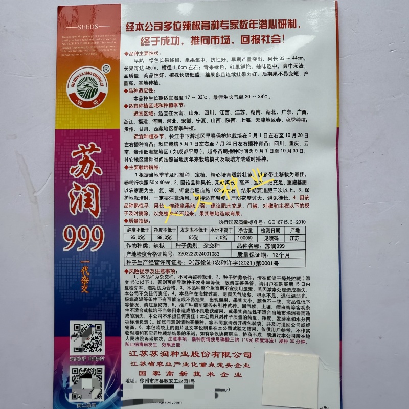苏润999线椒种子早熟长线椒种籽中辣绿色长果条椒种子