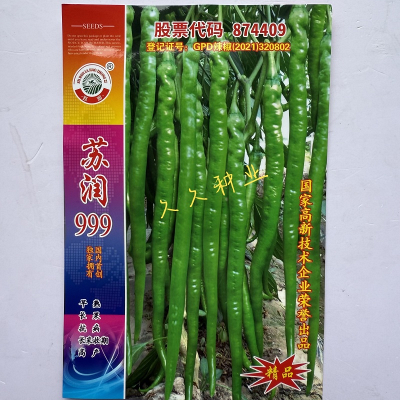苏润999线椒种子早熟长线椒种籽中辣绿色长果条椒种子