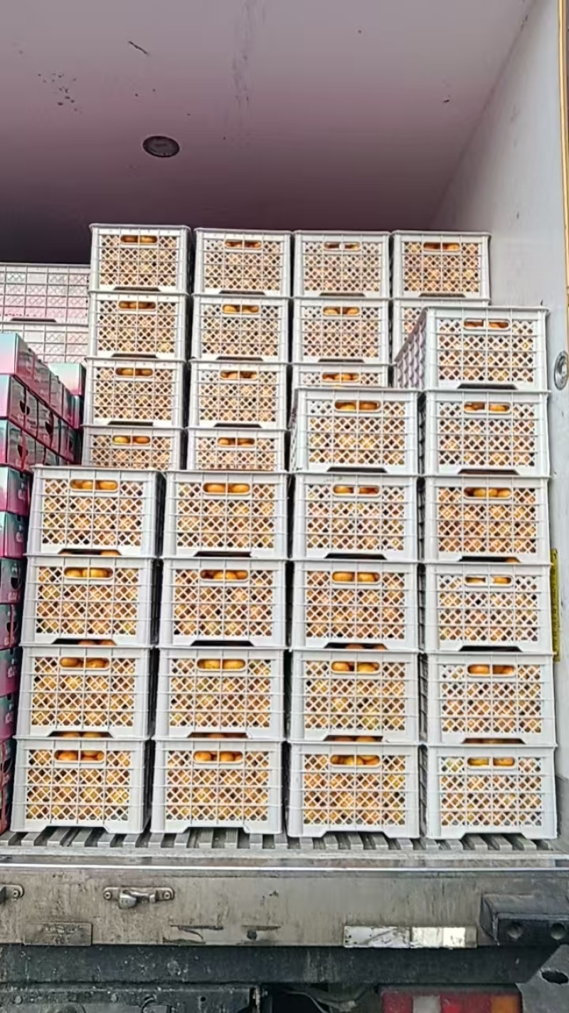 浙江台州涌泉蜜橘，找长期合作商，档口，摊位，