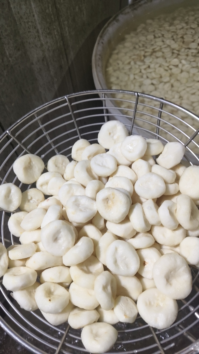 新鲜马蹄现挖现发保证当季马蹄价格实惠需要的联系我