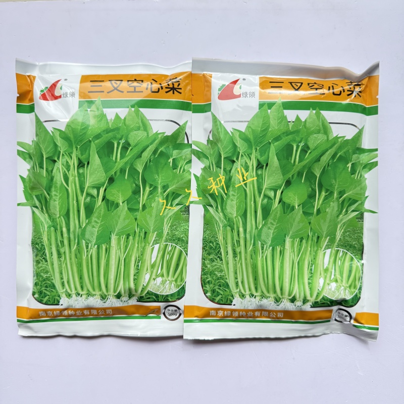 绿领三叉空心菜种子高产耐热耐湿蕹菜通心菜种籽春夏秋季蔬菜