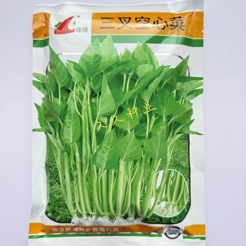 绿领三叉空心菜种子高产耐热耐湿蕹菜通心菜种籽春夏秋季蔬菜