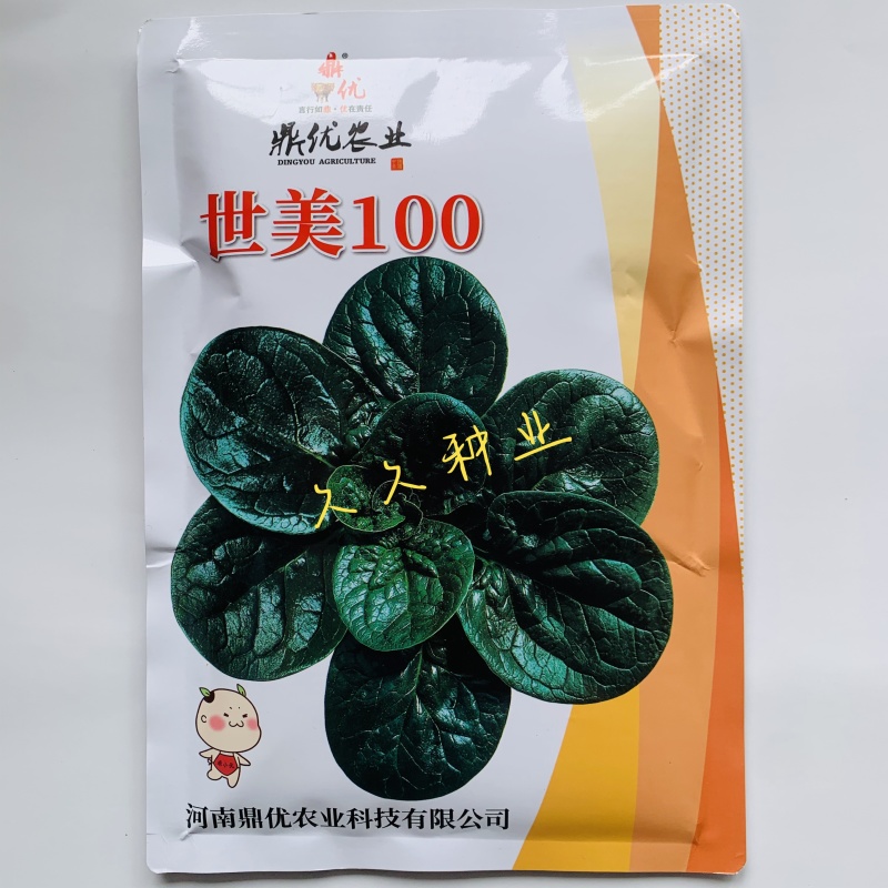 鼎优世美菠菜种子抗热四季蔬菜种趴地菠菜种籽半直立品种圆叶