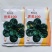 鼎优世美菠菜种子抗热四季蔬菜种趴地菠菜种籽半直立品种圆叶
