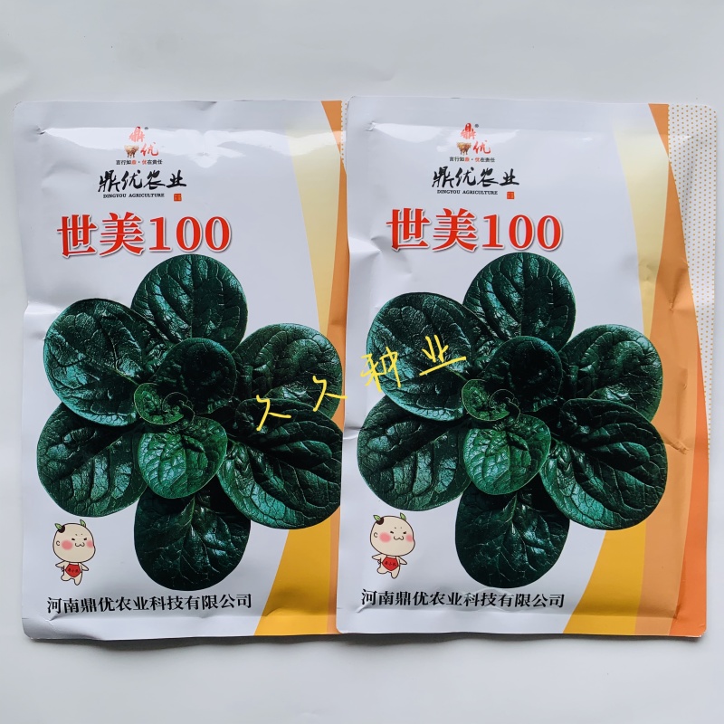 鼎优世美菠菜种子抗热四季蔬菜种趴地菠菜种籽半直立品种圆叶