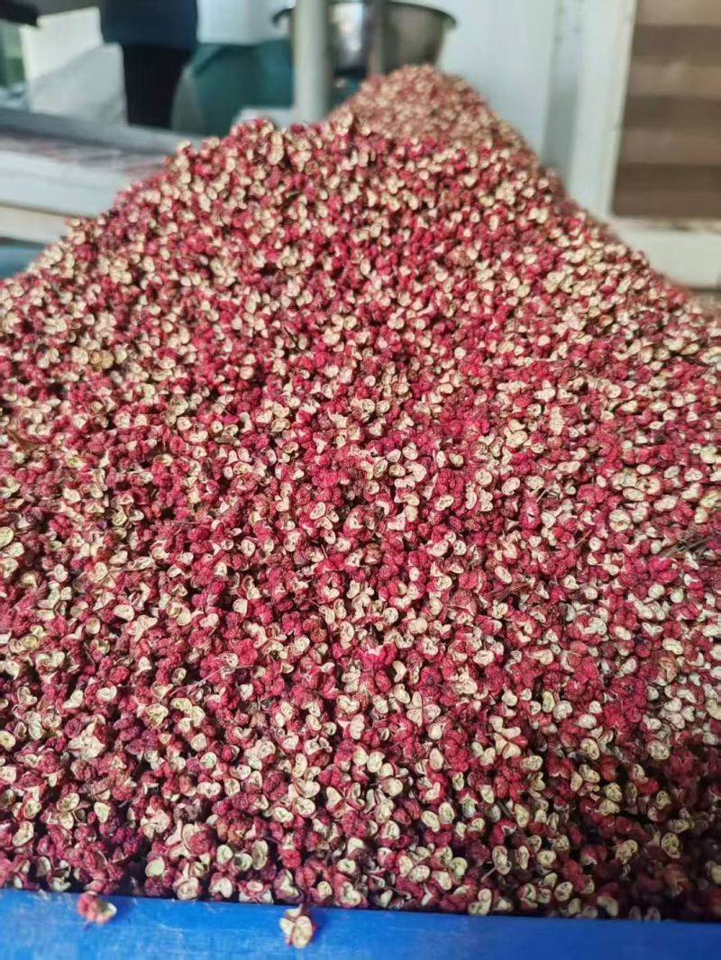 花椒武都花椒精品花椒产地直供一手货源欢迎咨询