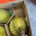 金枕榴莲一手批发价格，a果保5房，坏果包赔