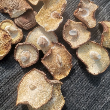 干香菇大片，精选加工，去除杂质，大量供应