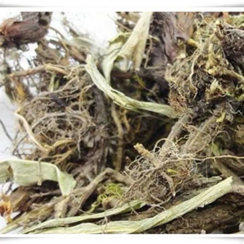 中药甘松甘菘干松根香草香松甘香松排草辛料钓鱼香料调料