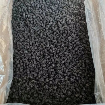 新疆野生桑葚干白桑椹黑桑葚***桑葚子泡酒泡茶泡水做膏即
