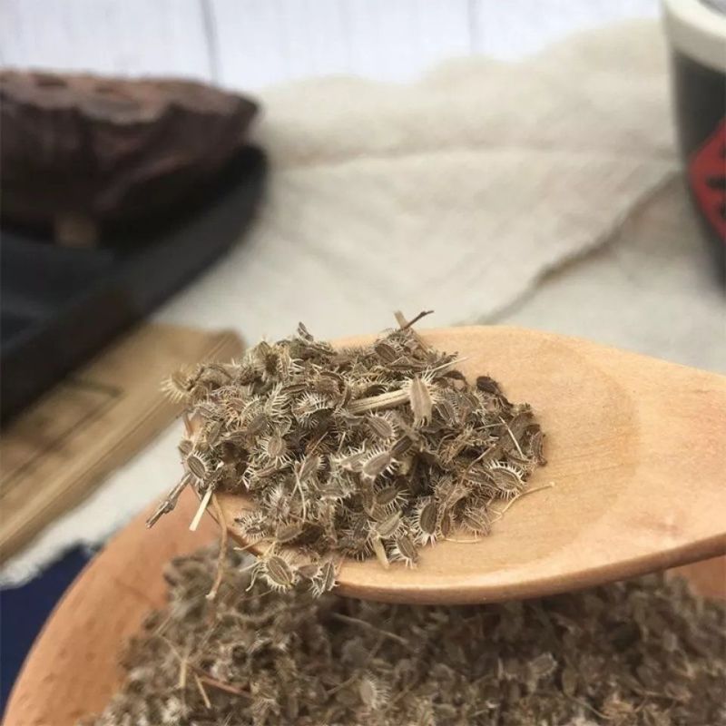 中药材鹤虱野生鹤虱/窃衣子/北鹤虱/虱子草包邮