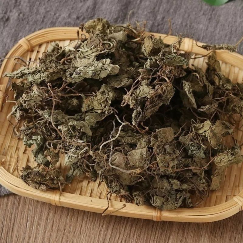 青天葵中药材正品独脚天揆珍珠叶半边伞晴天葵坠千斤独叶莲榈