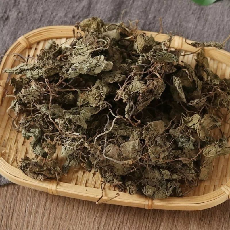 青天葵中药材正品独脚天揆珍珠叶半边伞晴天葵坠千斤独叶莲榈