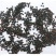 中药铺精选水红花子水荭子荭草实水红花籽