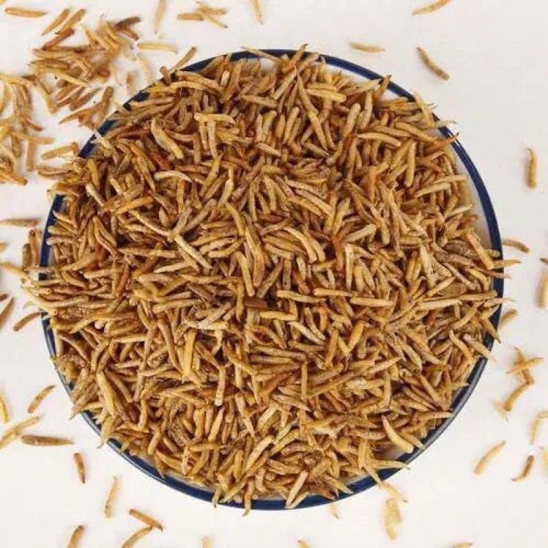 中药材食用干净五谷虫干黄金无谷虫蛆蝇蛆干水仙子
