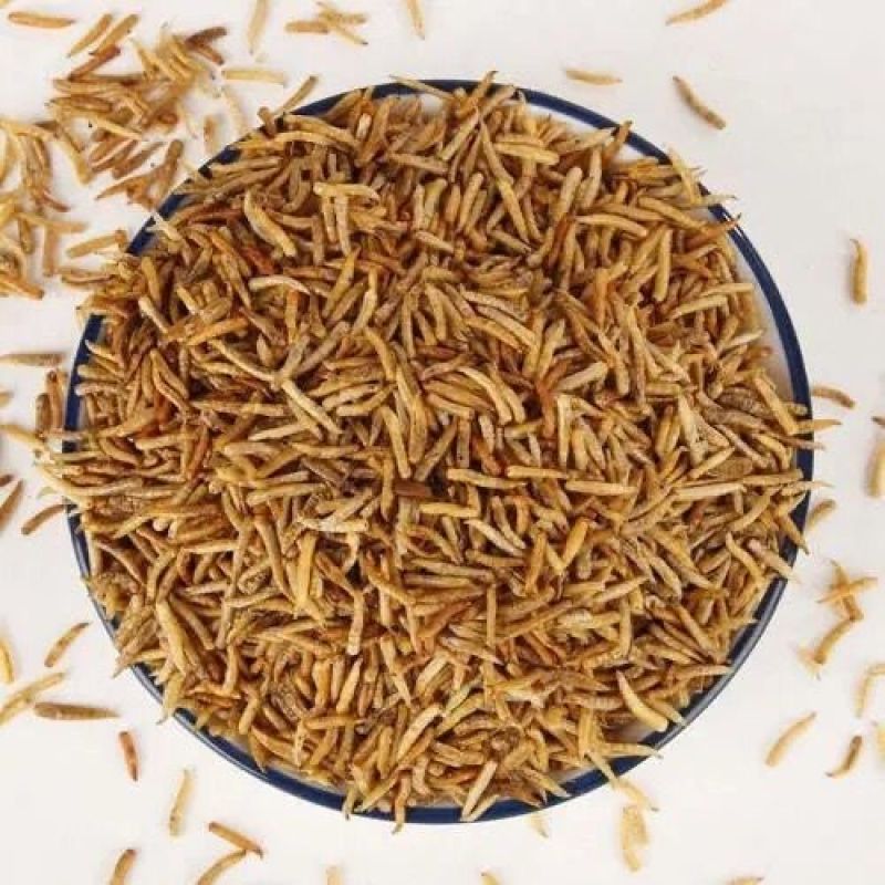 中药材食用干净五谷虫干黄金无谷虫蛆蝇蛆干水仙子