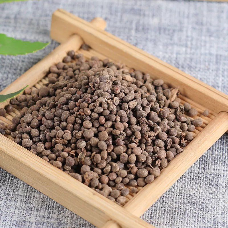 中药铺中草药新货正品急性子金凤花子凤仙子指甲