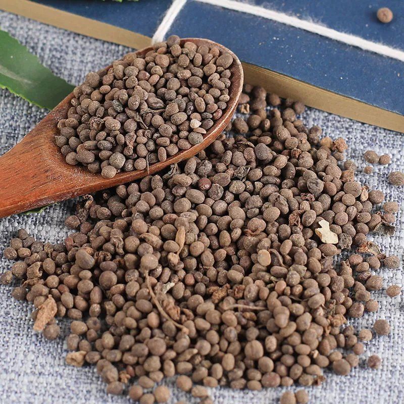中药铺中草药新货正品急性子金凤花子凤仙子指甲