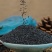 正宗台湾特级兰香子南眉籽珍珠果泡茶泡装批发价可食用明列子