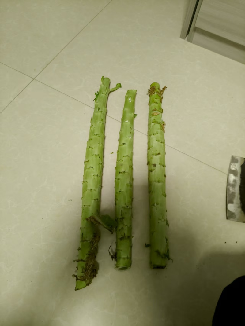 精品莴笋杆子