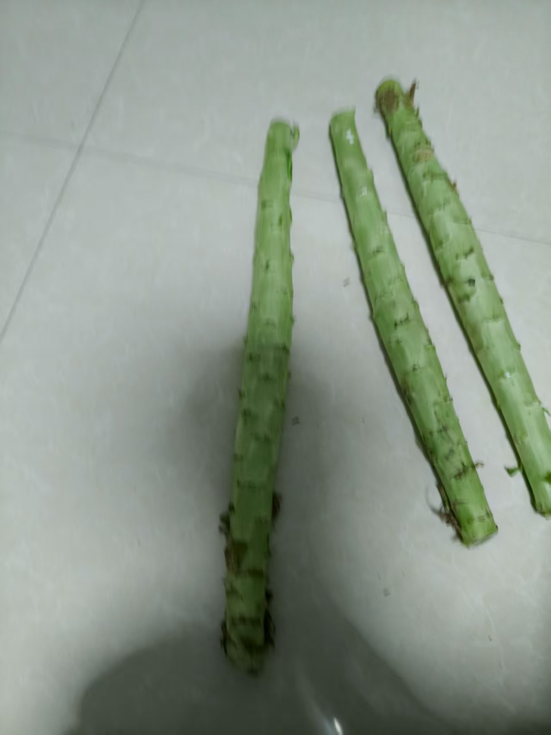 精品莴笋杆子