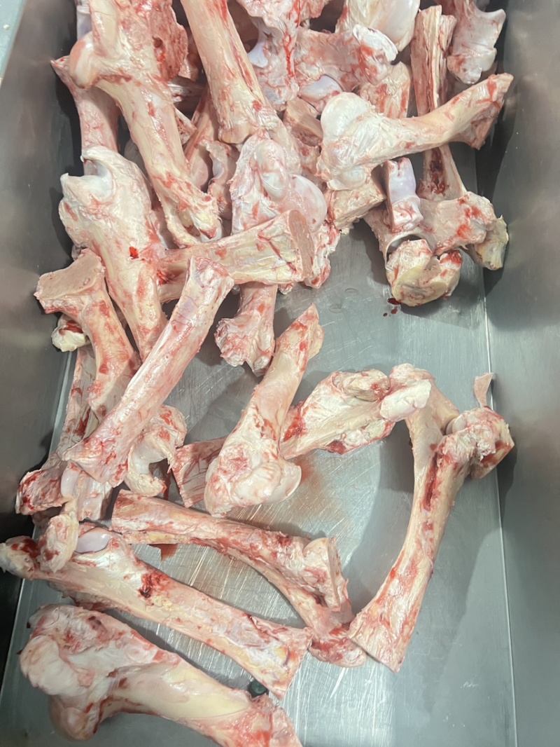 牛棒骨纯圆牛蒡骨饭店专用满骨髓可批发可零售，欢迎咨询