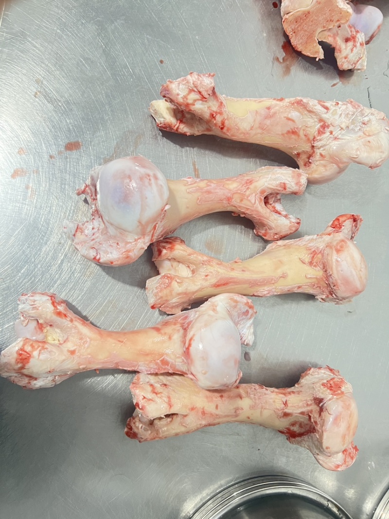 牛棒骨纯圆牛蒡骨饭店专用满骨髓可批发可零售，欢迎咨询