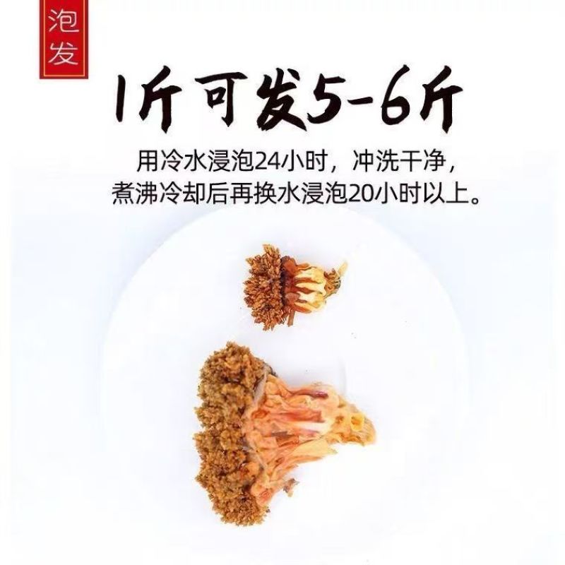 黑山岛野货海参花纯淡干大个头大片海参花营养不输海参参花干