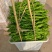 临沂辣椒鲜辣椒泡椒芜湖椒薄皮椒皱皮辣椒尖椒螺丝椒全国接单
