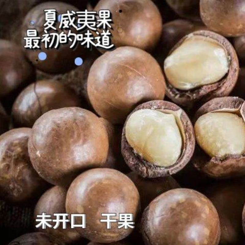 不上火未开口云南新鲜夏威夷果原生态批发一件代发产地直发