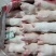 一级调理猪蹄17-19个20-23个28-33个