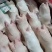 一级调理猪蹄17-19个20-23个28-33个
