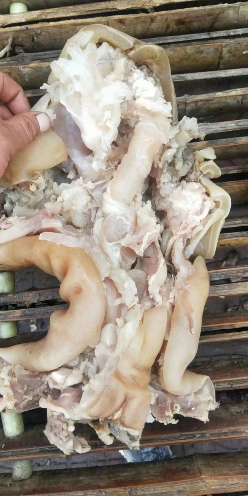 熟的去骨牛蹄，保留着大筋！独立包装，质量超好