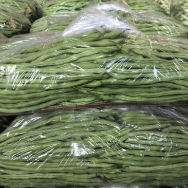精品架豆王，条好质量**☝🏻