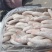 猪短尾