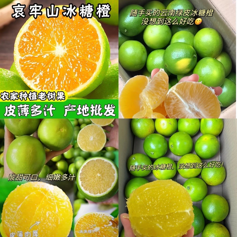 橙子冰糖橙皮薄多汁现摘现发支持一件代发电商商超