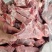 多肉龙骨