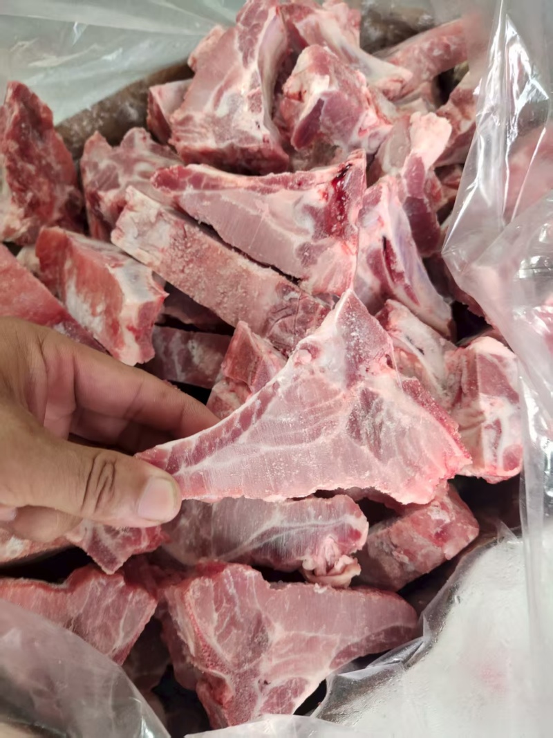 多肉龙骨