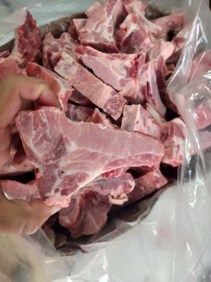 多肉龙骨
