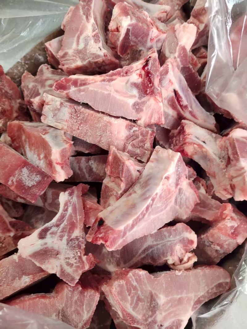 多肉龙骨