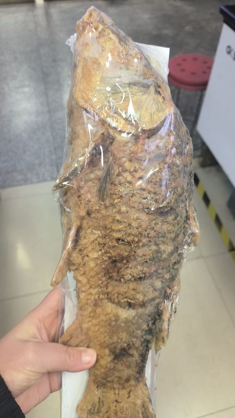 油炸大鲤鱼